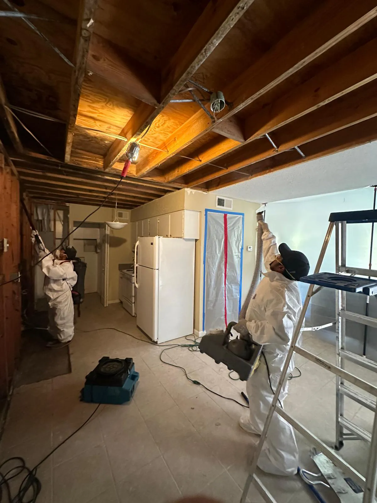 Visible mold growth on wall requiring professional mold remediation