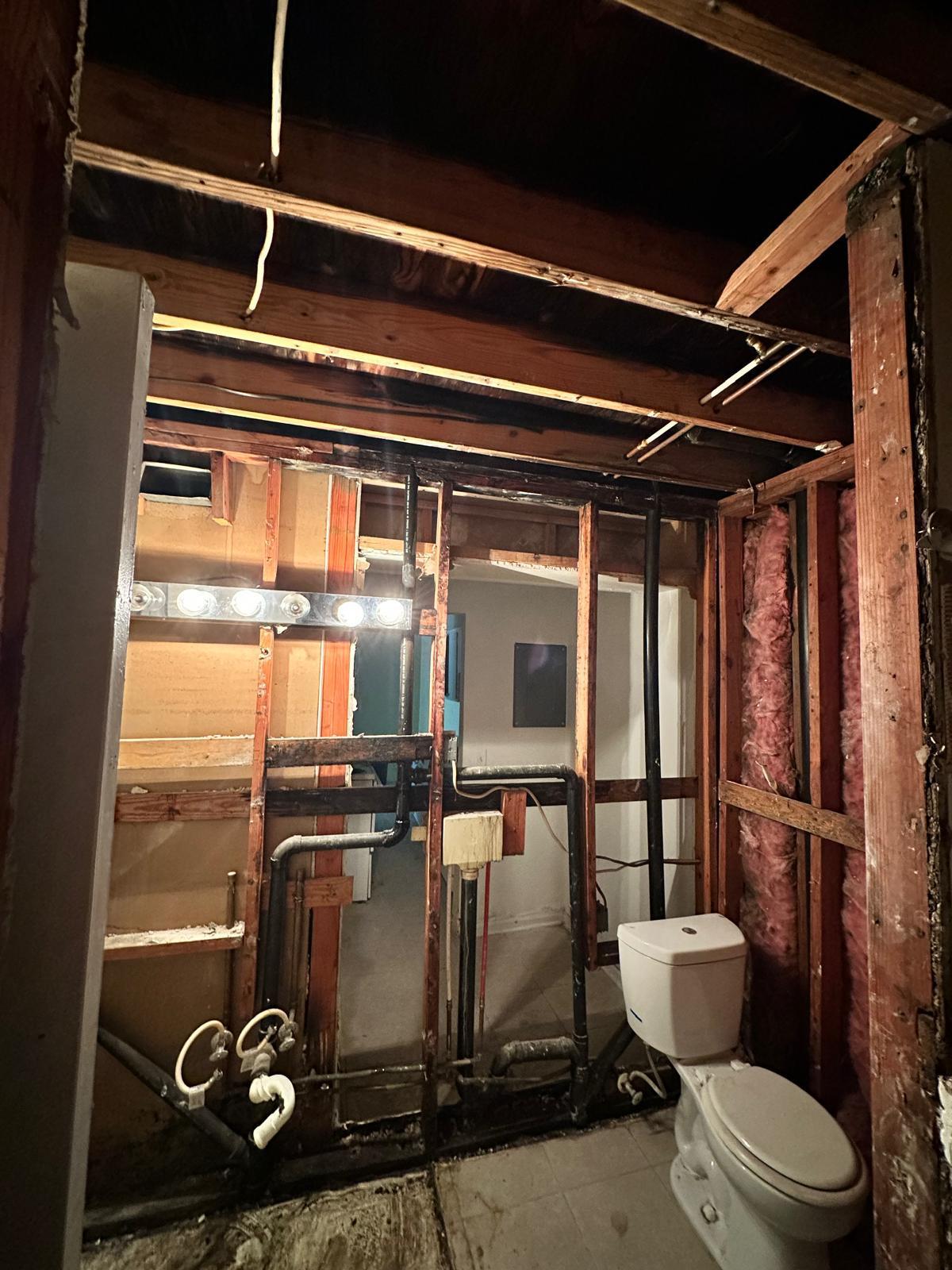 Before mold removal