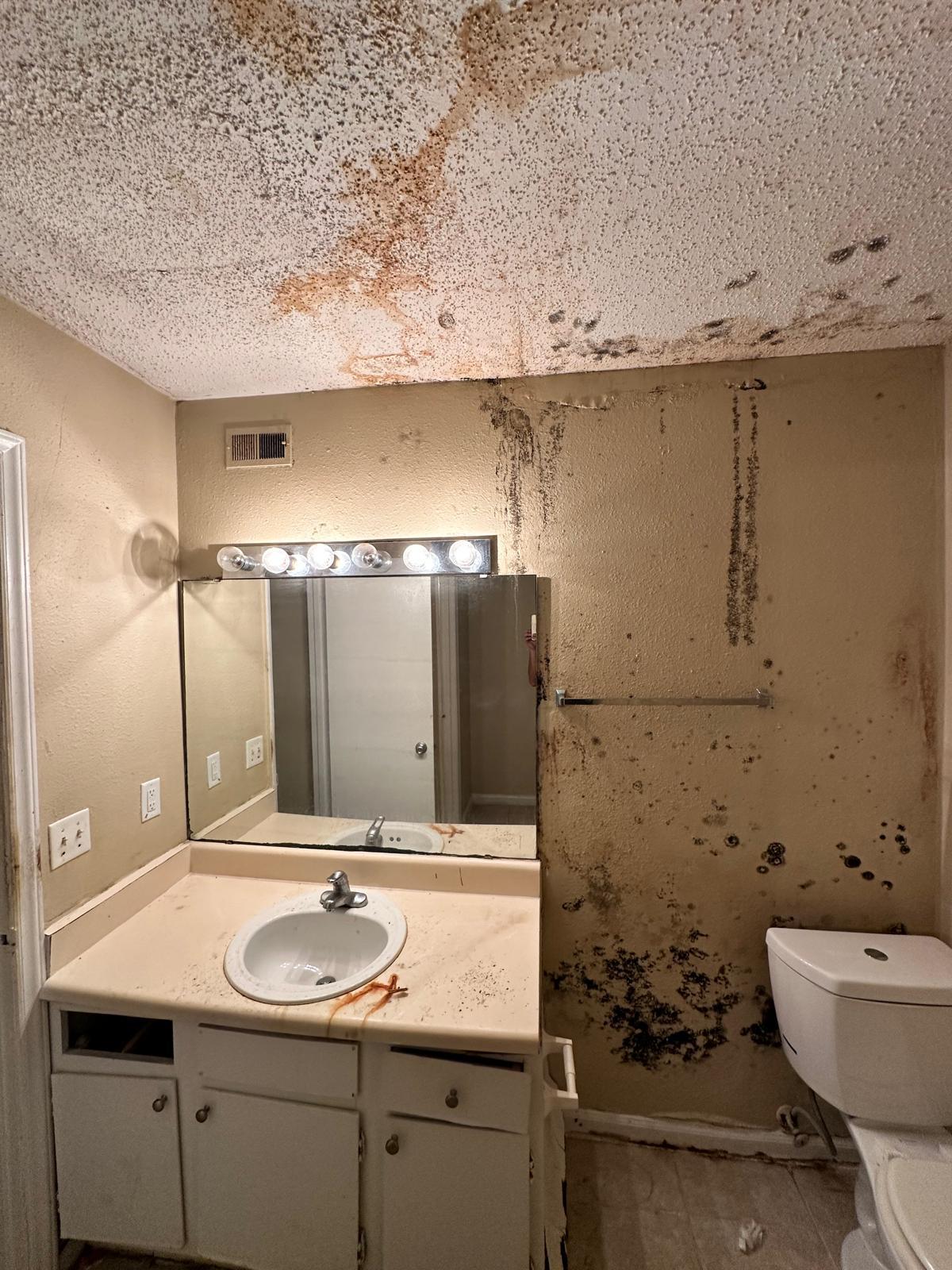 After mold removal