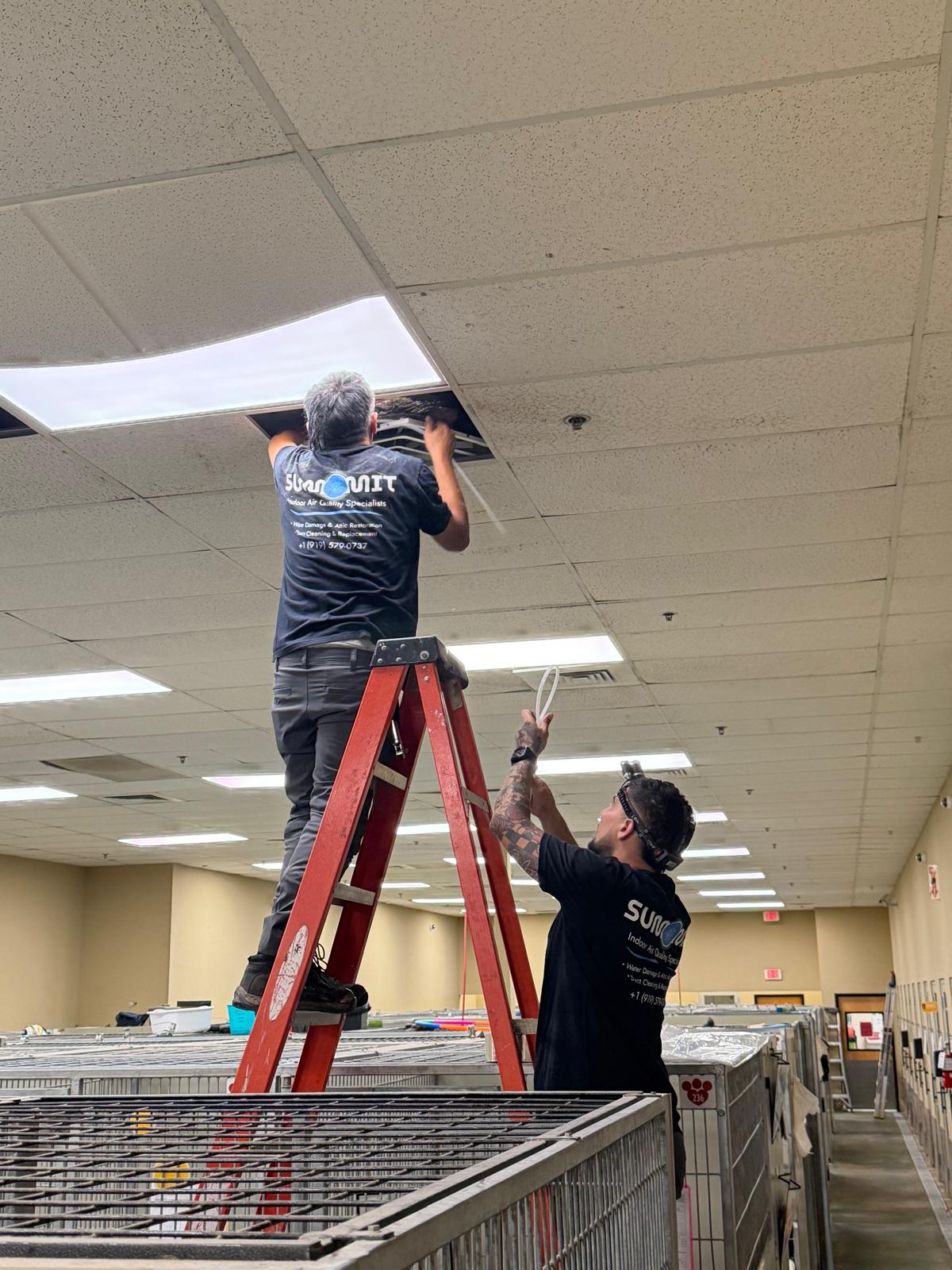 Technician performing mold remediation work