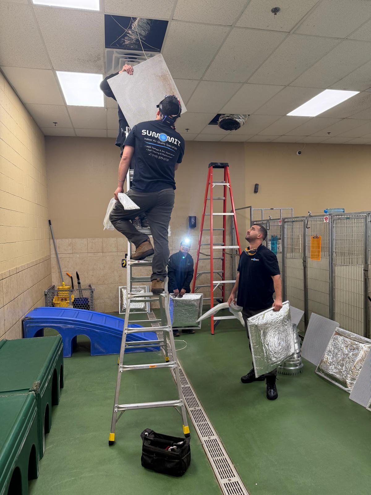 Mold remediation equipment on site