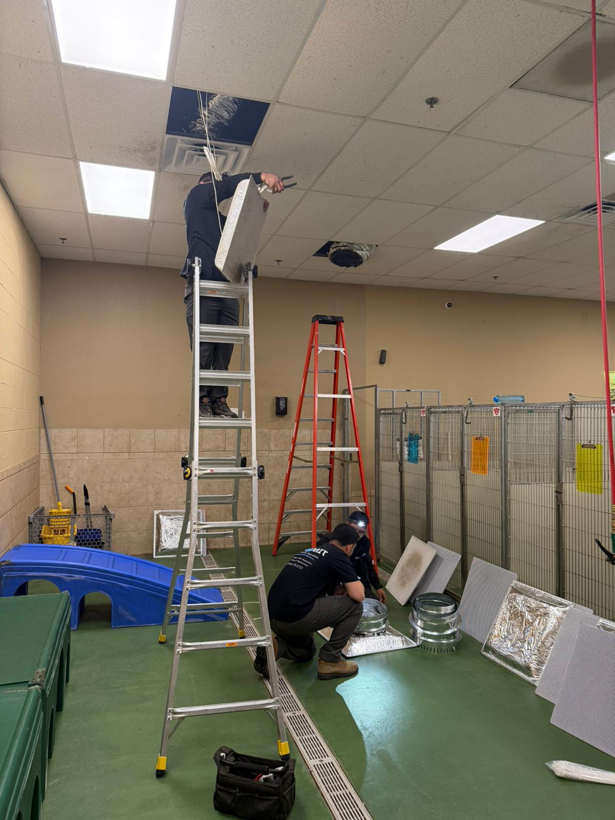Completed mold remediation work area