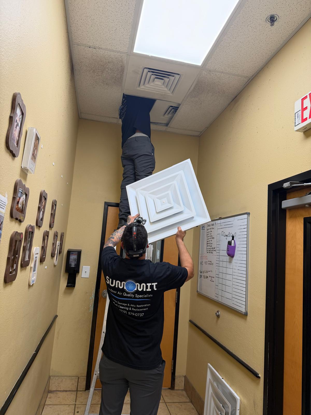 Mold remediation team at work